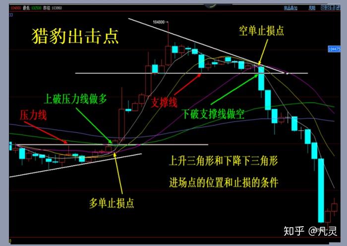 学有优教 人人出彩——港北区以奋进创新之笔书写教育强区新答卷