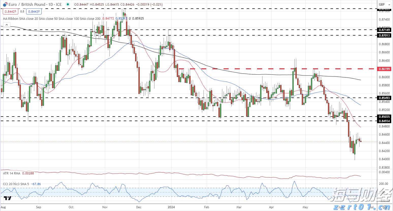 光大肉鸽养殖项目预计月底引进首批5000对种鸽