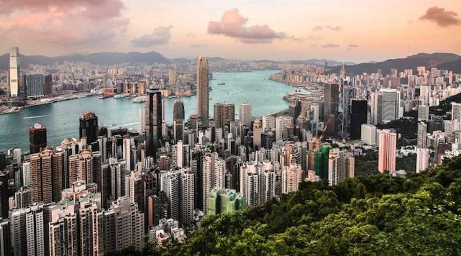 茜草冬棚养殖罗氏沼虾，科技特派员助力高要富民兴村